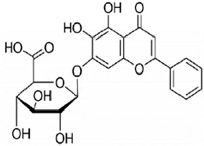 <mark class="highlighted">Baicalin</mark> Inhibits Biofilm Formation and the Quorum-Sensing System by Regulating the MsrA Drug Efflux Pump in Staphylococcus saprophyticus